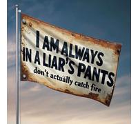 Divertente decorazione per la stanza I Am Always In A Liar'S Pants. Don'T Actually Catch Fire. Bandiera per camera da letto di ragazzi bandiere per camera da letto ragazze adolescenti (152 x 244 cm)