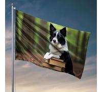 Divertente decorazione per patio con cane appoggiato sui libri nella foresta. Bandiera bar uomo grotta decorazione per dormitorio uomo (30 x 45 cm)