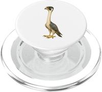 Divertente design a collo lungo con falco pellegrino PopSockets PopGrip per MagSafe