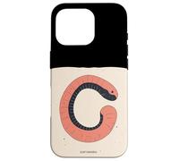 Divertente design con lombrichi per gli appassionati della natura Custodia per iPhone 16 Pro