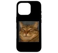 Divertente Faccia Gatto Faccia Primo Piano Sfocato Foto Meme Custodia per iPhone 16 Pro