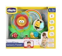 DIVERTENTE FIORE SENSORIALE ARCOBALENO CHICCO
