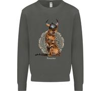 Divertente Gatto Vichingo Il Conquistatore Felpa Per Bambini