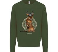 Divertente Gatto Vichingo Il Conquistatore Felpa Per Bambini