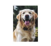 Divertente Golden Retriever Welcome Garden Flag 0,6 x 0,9 m Double Sided No Fade House Yard Bandiere Photo Sfondo Banner per Cortile Portico Prato Decorazione Esterna