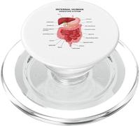Divertente insegnante di biologia anatomica anatomica del sistema digestivo PopSockets PopGrip per MagSafe