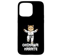 Divertente Karate Cat Kata Kumite Custodia per iPhone 15 Pro Max