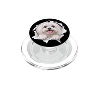 Divertente Maltese Sbirciando Carino Cane Amante Mamma Papà PopSockets PopGrip per MagSafe