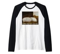 Divertente Meme Brother May I Have Some Oats Tee Maglia con Maniche Raglan