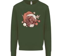 Divertente Natale Highland Mucca Babbo Natale Cappello Bambini Felpa Maglione