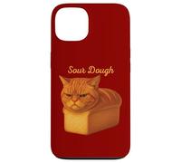 Divertente Pane Puro Arancia Tabby Cat Appena Sotto Pasta Acida Custodia per iPhone 13