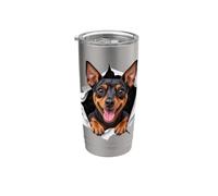 Divertente Pinscher in miniatura che sbircia carino amante dei cani mamma papà Bicchiere termico in acciaio inox doppia parete