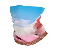 Divertente sciarpa per il viso con stampa di maiale carino da sci, sciarpa per uomo e donna, scaldacollo per sci corsa