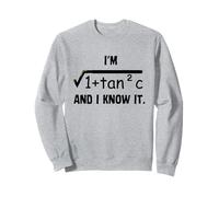 Divertente Sexy Matematica Umorismo - Sono Sec C E lo so Divertente Matematica Felpa