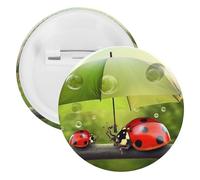Divertente spilla rotonda personalizzata a forma di coccinella che tiene ombrelli, grande bottone, adatta per insegnanti, infermieri, medici, personale, accessori regalo per feste, 20PCS, Plastica