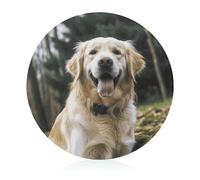 Divertente tagliere in vetro temperato Golden Retriever 20,3 x 20,3 cm con piedini in gomma, antiscivolo e resistente al calore, taglieri per frutta, piccoli taglieri regalo per cucina/bar/campeggio