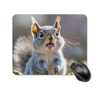 Divertente tappetino per mouse quadrato con simpatico scoiattolo tappetino per mouse portatile con base in gomma antiscivolo 20 x 25 cm, tappetino per mouse ultra sottile per computer, laptop