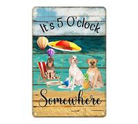 Divertente targa in metallo con scritta in lingua inglese "It's 5 O'clock Somewhere" (lingua italiana non garantita) per porta, souvenir di viaggio, graziosa targa in stile shabby chic, regalo per