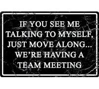 Divertente targa in metallo per ufficio, decorazione da parete, con scritta "If You See Me Talking To Myself We're having a team meeting", accessori decorativi da donna, regalo per casa, bar, 30,5 x