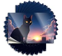 Divertenti adesivi per auto Un gatto nero si trova contro uno sfondo al tramonto. Adesivi 10 pezzi adesivi decorativi per paraurti (6 x 9 cm)