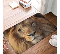 divertenti Entrata Zerbino African Lion Head, Tappetino di benvenuto, Cucina, Interno, Terrazzo, Antiscivolo Tappeto Ingresso 40X60cm