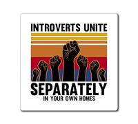 Divertenti introversi Sayings Sarcasmo Rabbia Sarcastico Ridicule Novità Umorismo Ridicure Giocosità Derisione Divertente Magneti 10,2 cm × 10,2 cm