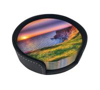 Divertenti sottobicchieri con stampa paesaggio marino irlandese, 6 pezzi sottobicchieri in pelle con supporto per ufficio, cucina, sala da pranzo, soggiorno, 9,9 cm