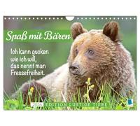Divertimento con gli orsi: edizione divertenti animali (calendario da parete 2026 DIN A4 quer), Calvendo calendario mensile: orsi: maestri petz, detti impertinenti per la follia quotidiana nel lavoro