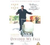 Divided We Fall