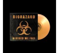 divided we fall