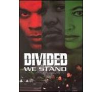 Divided We Stand