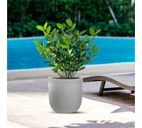 Vaso in resina da esterno interno per piante cilindro di design d.25x h 34 cm - Peso 1,5 kg Raffaello colore Beige beige