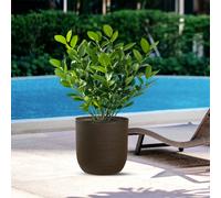 Vaso in Resina da Esterno Interno ø 35x34h cm Marrone Raffaello Divina Garden