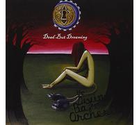 Divine Baze Orchestra - Dead But Dreaming