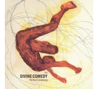 Divine Comedy,the - Perfect Lovesong
