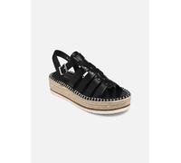Divine Factory - QL4844_NOIR Nero - Sandali e scarpe aperte 40 Nero