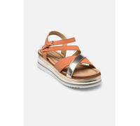 Divine Factory - TX5024 Arancione - Sandali e scarpe aperte 38 Arancione