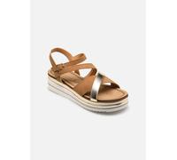 Divine Factory - TX5024 Marrone - Sandali e scarpe aperte 40 Marrone