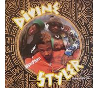 Divine Styler - World power (US, 1989, feat. Scheme Team) / Vinyl record [Vinyl-LP]