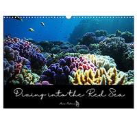 Diving into the Red Sea (Wall Calendar 2026 DIN A3 landscape), CALVENDO 12 Month Wall Calendar: Dive into the colorful underwater world of the Red Sea ... facts about this fascinating ecosytem