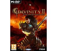 Divinity 2 The Dragon Knight Saga