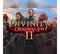 Divinity: Original Sin 2 - Divine Ascension (DLC) (PC) GOG.com Key - GLOBAL