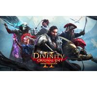 Divinity: Original Sin II Definitive Edition