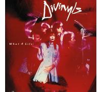 Divinyls - What a Life!