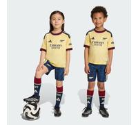 Divisa Third Arsenal FC 26/27 Bambini Almost Yellow 5-6A