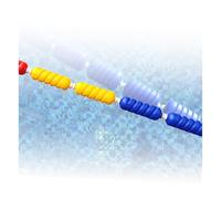 Divisore di sicurezza per piscina galleggiante Accessori per la linea della piscina Galleggianti per bambini e animali domestici Corda di sicurezza per ricreazione e divertimento Migliora la sicurezza