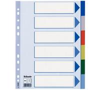 Divisore intercalare Esselte polipropile 15260