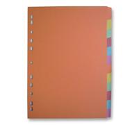 Divisori Classici 12 Parti, File Di Cancelleria E Archiviazione Per Q CONNECT