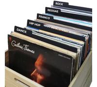 Divisori per dischi in vinile da 30,5 cm, riutilizzabili, su entrambi i lati, in plastica, separatori per album fai da te in vinile LP e organizzazione di dischi in vinile e DVD (20)
