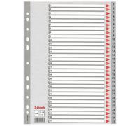 Divisori per rubrica Esselte A4 PPL nume 100108